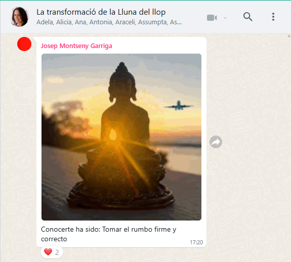 Testimoni Josep Montseny Garriga